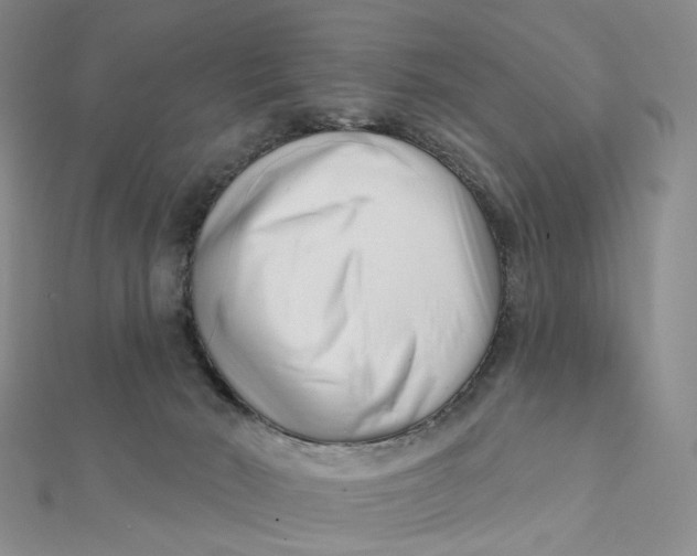 X0000112080030200908251115