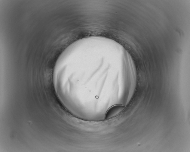 X0000112080034200908251115