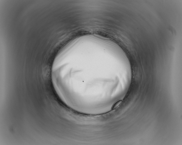 X0000112080036200908251115