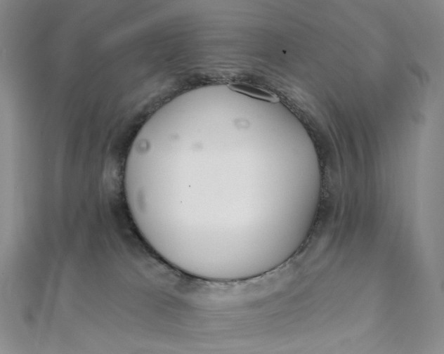 X0000112080037200908251115