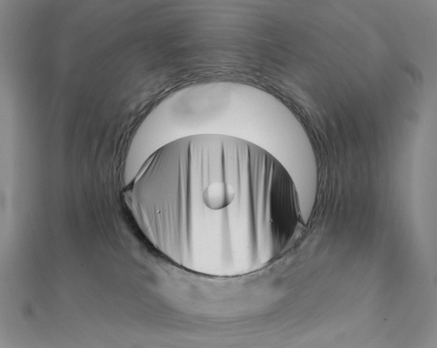 X0000112080039200908251115