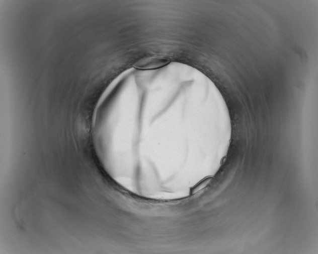 X0000112080040200908251115