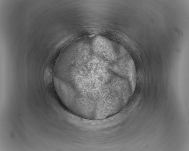 X0000112080043200908251115