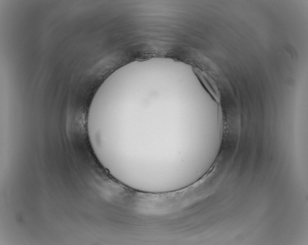 X0000112080045200908251115
