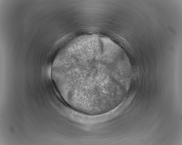 X0000112080047200908251115