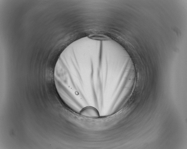 X0000112080048200908251115