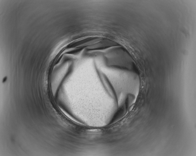 X0000112080053200908251114
