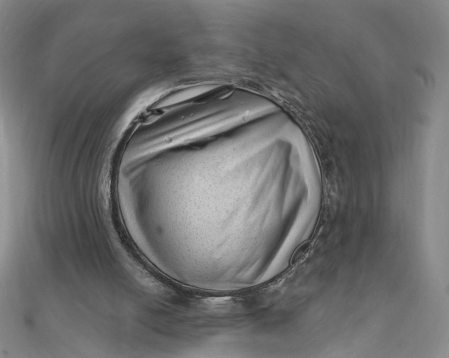 X0000112080054200908251114