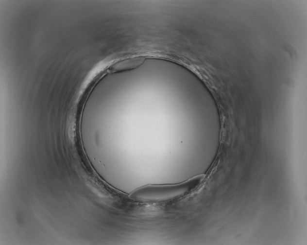 X0000112080056200908251114