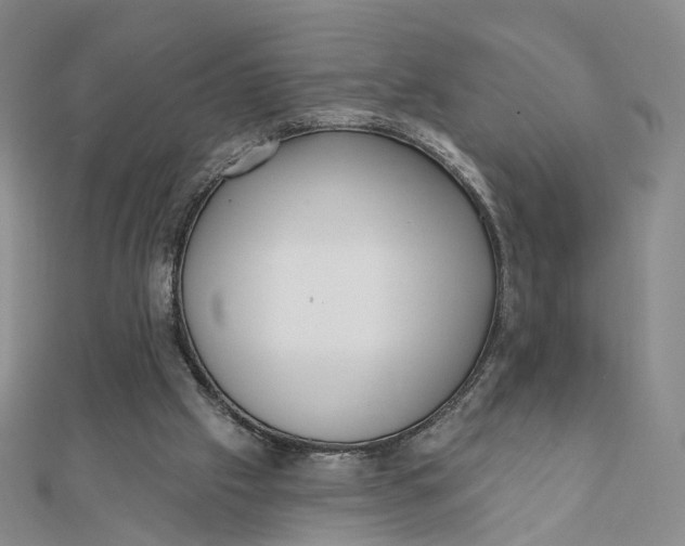 X0000112080057200908251114