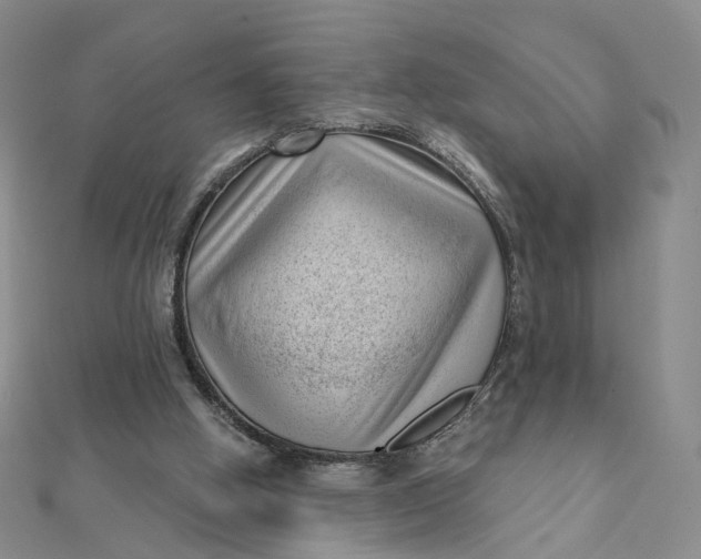 X0000112080058200908251114