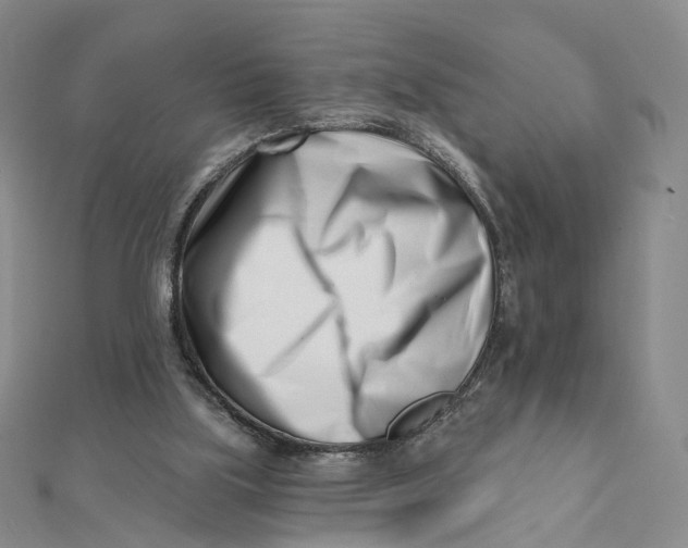 X0000112080059200908251114