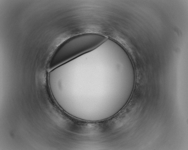 X0000112080060200908251114