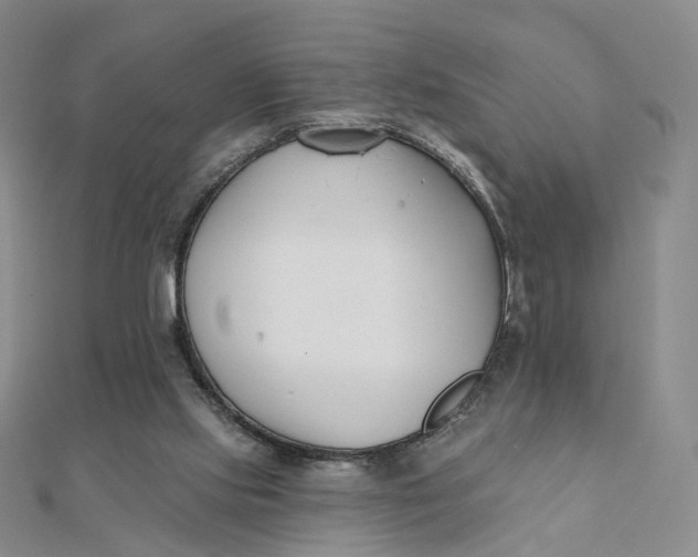 X0000112080061200908251114