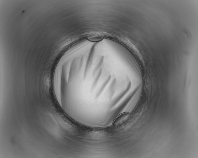 X0000112080063200908251114
