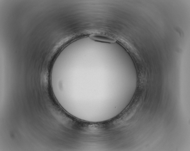 X0000112080064200908251114