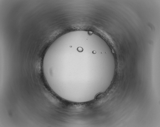 X0000112080065200908251114