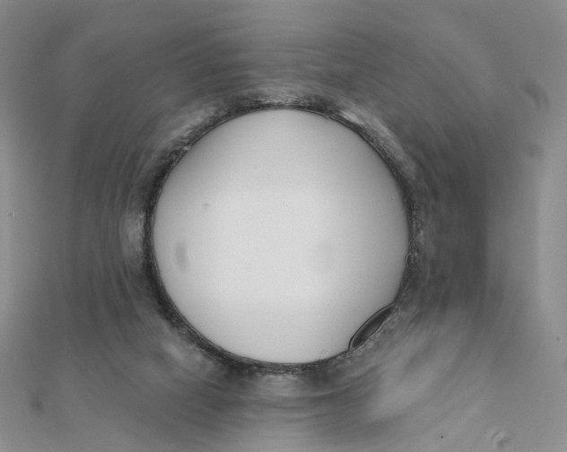 X0000112080066200908251114