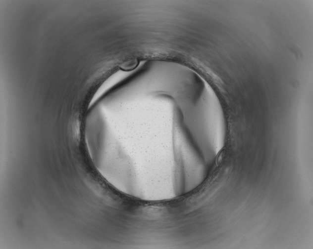 X0000112080067200908251114