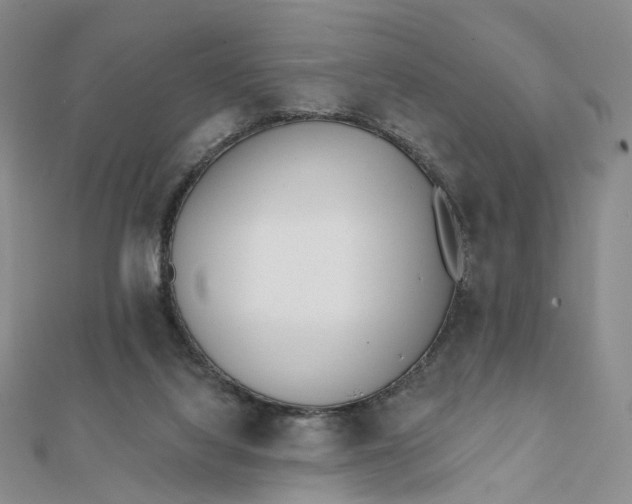 X0000112080068200908251114