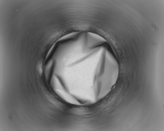 X0000112080069200908251114
