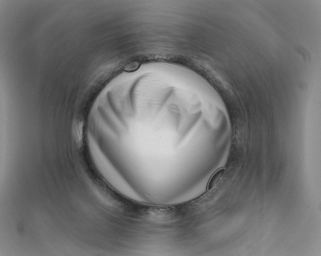 X0000112080070200908251114