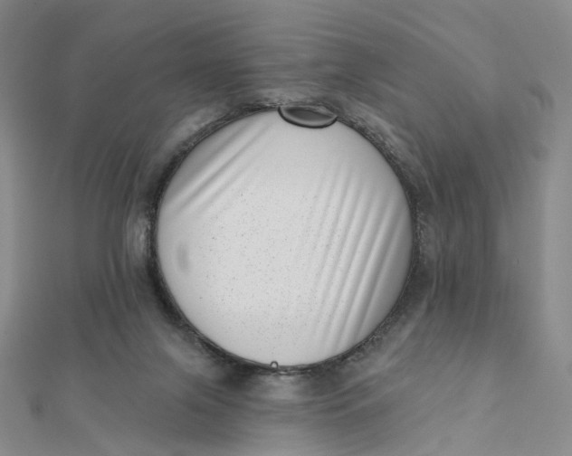 X0000112080071200908251114
