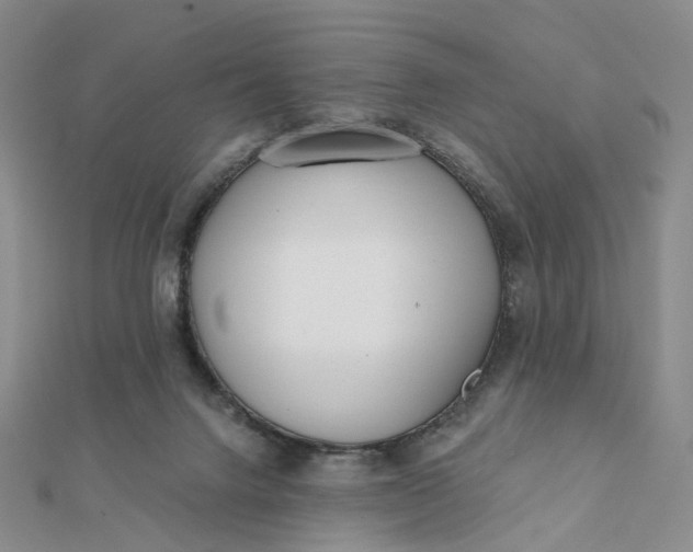 X0000112080072200908251114