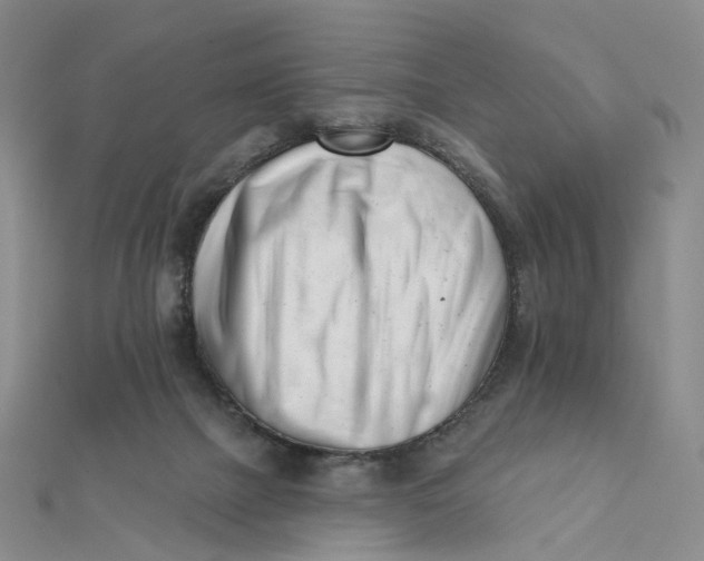 X0000112080073200908251114