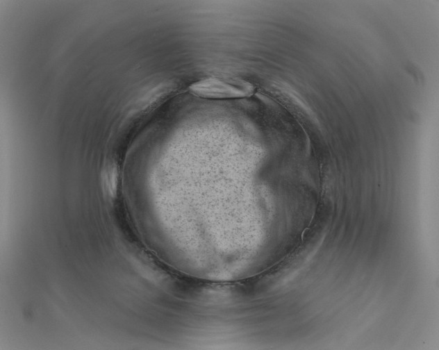 X0000112080076200908251114