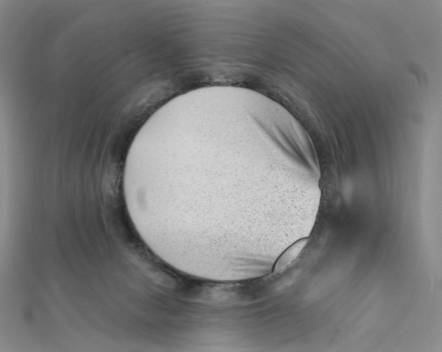 X0000112080078200908251114