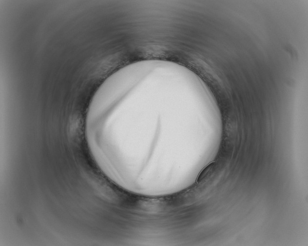 X0000112080079200908251114