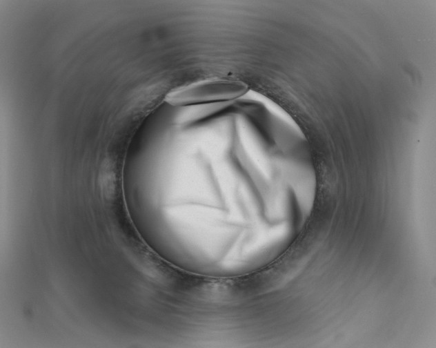 X0000112080080200908251114