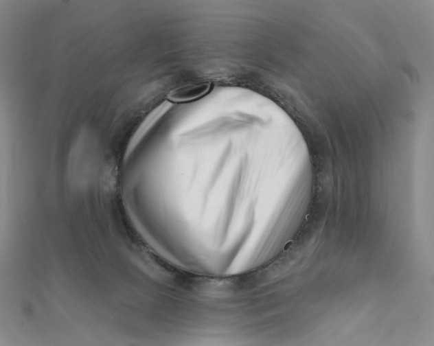 X0000112080081200908251114