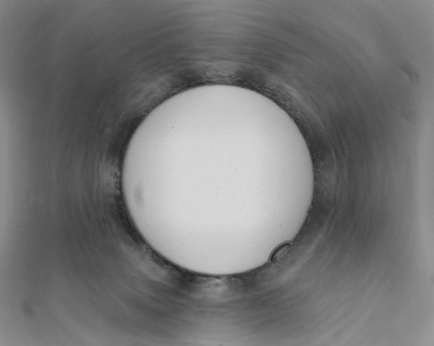 X0000112080083200908251114