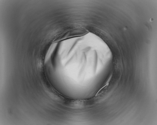 X0000112080084200908251115
