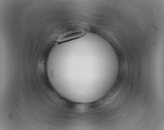 X0000112080088200908251115