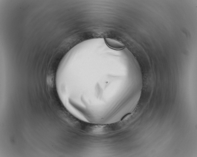 X0000112080090200908251115