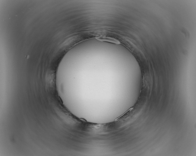 X0000112080092200908251115