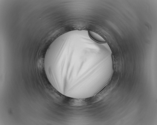 X0000112080093200908251115