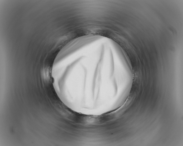 X0000112080094200908251115