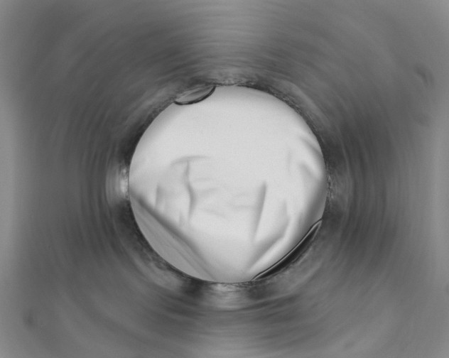 X0000112080095200908251115