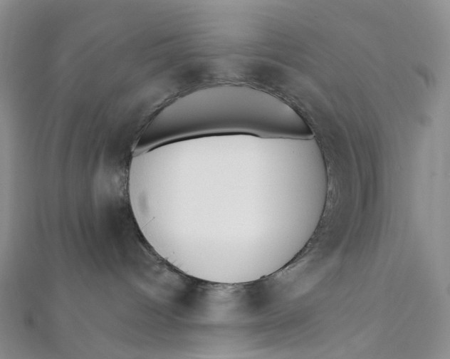 X0000112080096200908251115