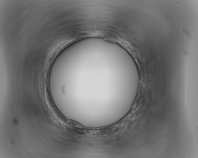 X0000112080097200908251114