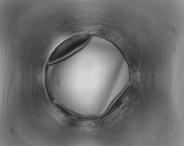 X0000112080100200908251114