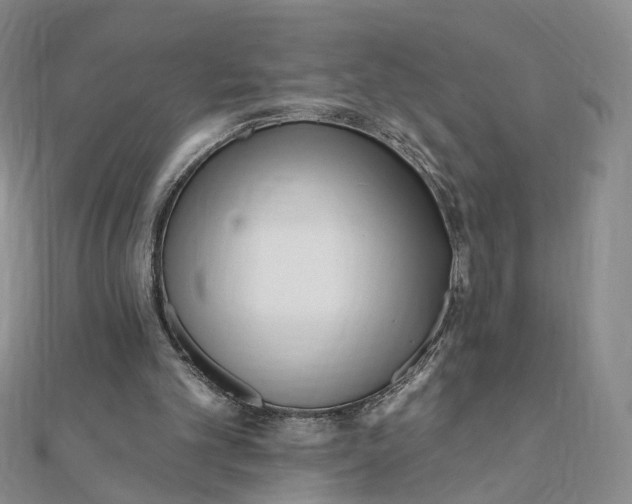 X0000112080101200908251114