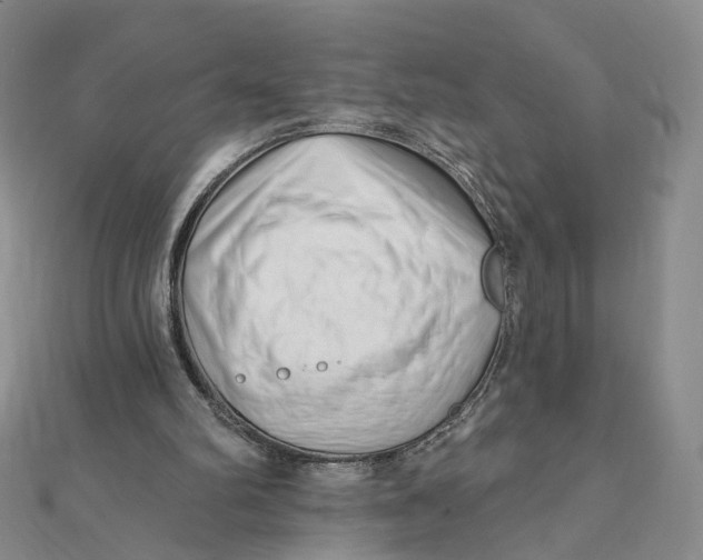 X0000112080102200908251114