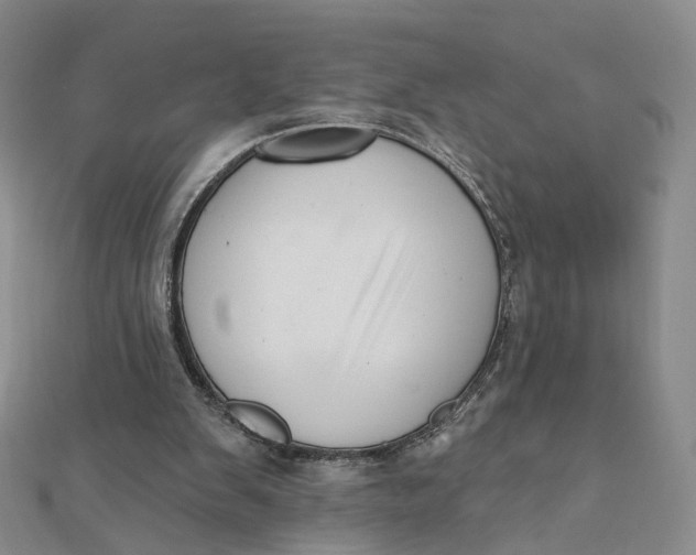 X0000112080103200908251114