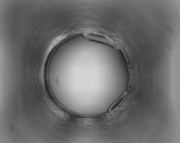X0000112080104200908251114