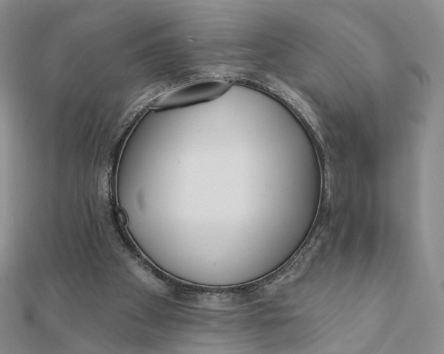 X0000112080105200908251114